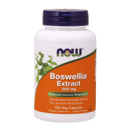 NOW Boswellia Extrakt z kurkumy 250 mg 120 kaps.