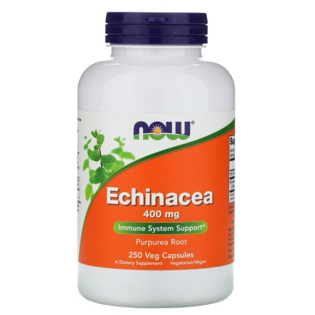 NOW Echinacea 400mg 250 vegkaps.