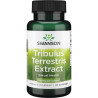 Swanson Kotvi─Źn├şk Tribulus Terrestris Extract 500 mg 60 kaps