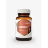 Hepatica Cordyceps -60 kaps.
