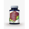 Hepatica Triphala -120 kaps.