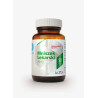 Hepatica P├║pava 90 kaps.