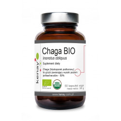 KENAY Chaga BIO 60 kaps.