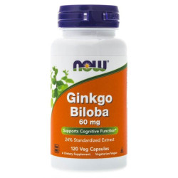 NOW Ginkgo Biloba extrakt 120 kaps.