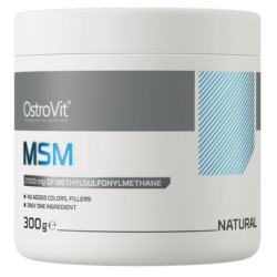 OSTROVIT MSM natural 300 g