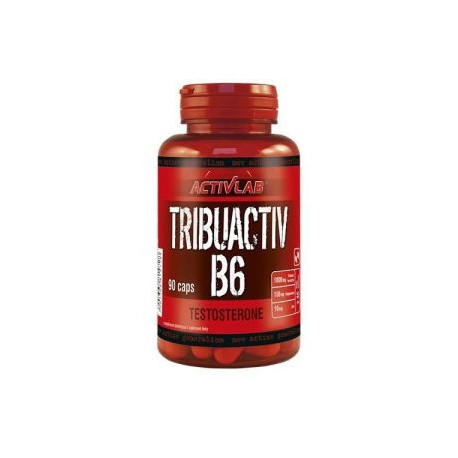 ActivLab Tribuactiv B6 - 90kaps.